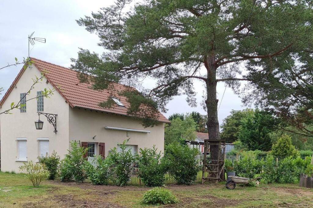 Proche Chateaux Et Zoo De Beauval: Gite De Sologne Pruniers Exterior foto